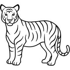 Elegant White Tiger Outline Line Art Vector