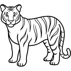 Elegant White Tiger Outline Line Art Vector