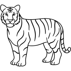 Elegant White Tiger Outline Line Art Vector