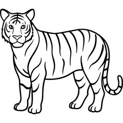 Elegant White Tiger Outline Line Art Vector
