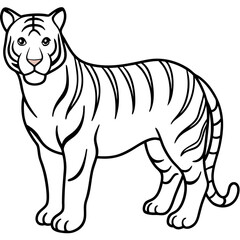 Elegant White Tiger Outline Line Art Vector
