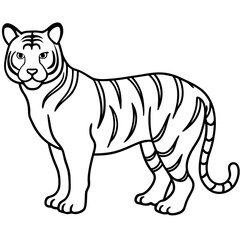 Elegant White Tiger Outline Line Art Vector
