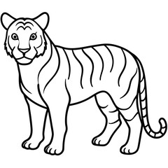 Elegant White Tiger Outline Line Art Vector