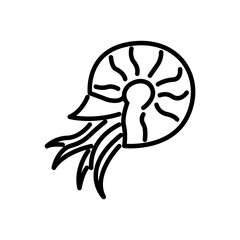 nautilus icon vector, line style icon