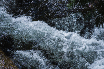 初夏の水辺　水流で泡立つ清流113