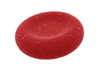 Single red blood cell isolated on transparent background