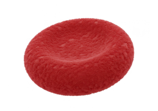 Single red blood cell isolated on transparent background