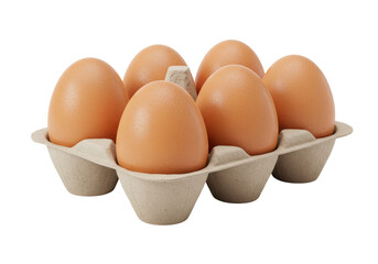 Isolated Half Dozen Brown Chicken Eggs in a Cardboard Carton