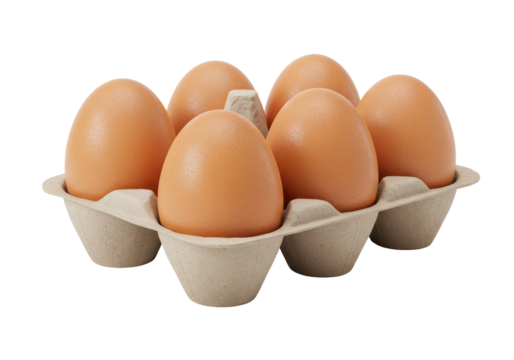 Isolated Half Dozen Brown Chicken Eggs in a Cardboard Carton