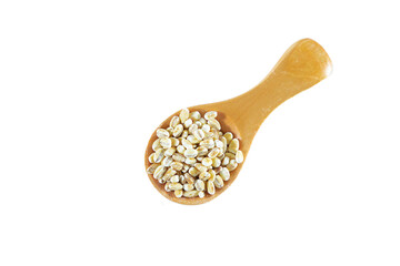 Wooden spoon with pearl barley isolated on white background.