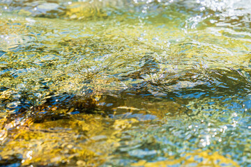 初夏の水辺　清流の流れ水面のアップ132