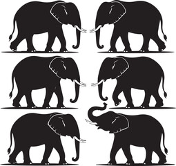 Set of vector ,elephants black silhouettes isolated on a white background