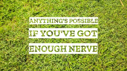 An empowering quote, ANYTHING'S POSSIBLE IF YOU'VE GOT ENOUGH NERVE, boldly displayed against a...