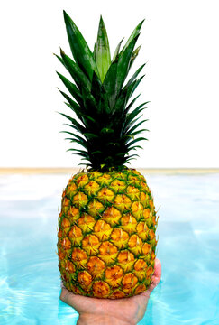 Pineapple in a pool held by an unrecognizable person