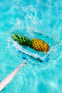 Pineapple scooped from swimming pool with net splash