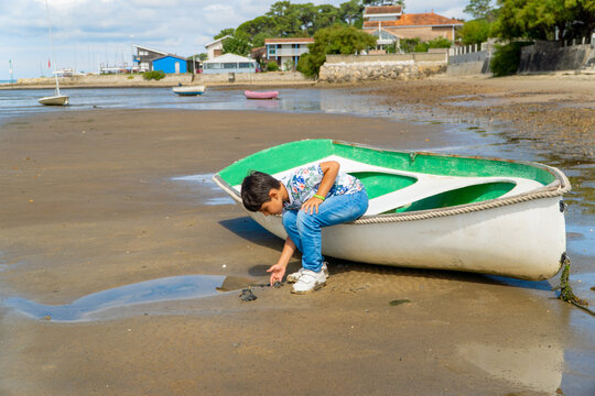 Child exploring nature on a serene beach