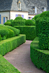Curved walkway between artfully trimmed box trees in the famous garden of Marqueyssac in the Perigord region, France