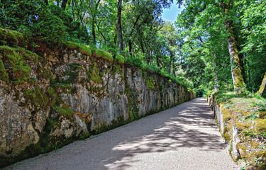  View along a straight gravel path surrounded by stone walls in the garden of Marqueyssac in the Perigord, France