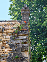 Old chimney made of rubble stones with red poppies in the garden of Marqueyssac in the region of Perigord, France