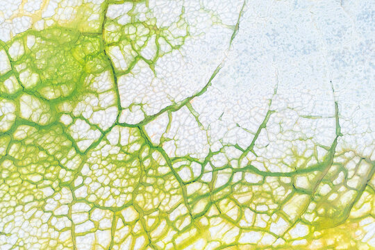 Aerial view of colorful painted mud resembling art