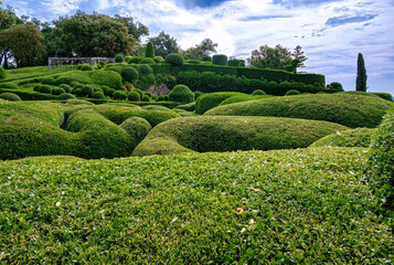 Garden in Marqueyssac with artfully trimmed box trees in the region Perigord, France