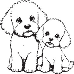Canine Companions: Two charming Bichon Frise dogs, rendered in detailed line art, offering a study in affectionate companionship. A heartwarming illustration for pet lovers.