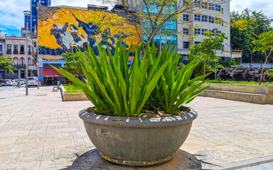 Rio de Janeiro Brazil City Street Art Graffiti and plants.