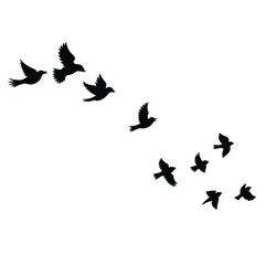 Birds returning in spring sky in silhouette line style