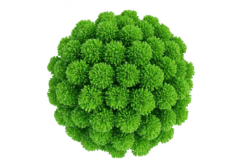 Green sphere, textured with many small, tufted bumps
