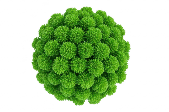 Green sphere, textured with many small, tufted bumps