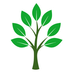 green tree isolated on white background