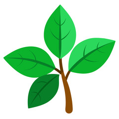 green leaves isolated on white background