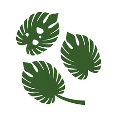 monstera leaf icon logo vector design template