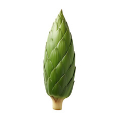 Green Bamboo Shoot isolated on a transparent background