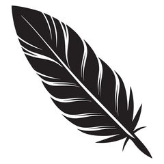 Obraz premium feather isolated on white background
