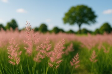 Fototapeta premium Bright pink blossoms against a grassy backdrop