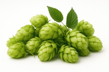 Obraz premium Green hop cones stacked on a white background