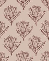 Seamless pattern a protea flower. Hand drawn linear illustration in brown ink on a beige background. Elegant botanical sketch in minimal vintage style. Perfect for floral prints, packaging, fabric