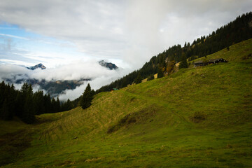 Alpine farmhouse on a grassy slope in Austria, with forested hills and clouds covering mountains on...
