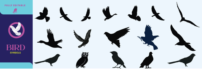 Flying bird vector and silhouette