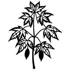 black and white flower