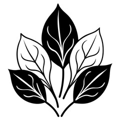 black and white leaves