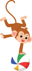smile monkey cartoon acrobatics show with ball, cute monkey character circus performing show illustration