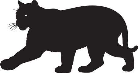 Argentine cougar in silhouette pure white background.