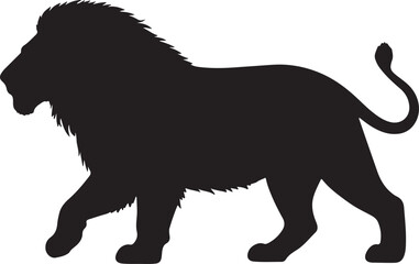 Asiatic lion in silhouette pure white background