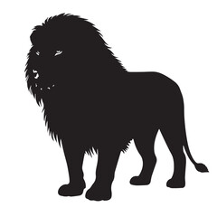 Central African lion in silhouette pure white background.