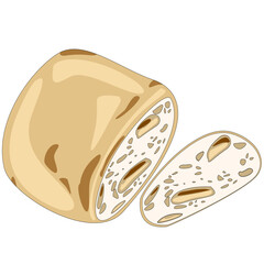 colored vector illustration of ciabatta bread with light and shadow. Soft shading adds subtle volume. Perfect for culinary visuals, infographics, and Mediterranean food design.