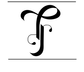 Luxurious Calligraphy DR Logo – Alphabet Emblem for Branding