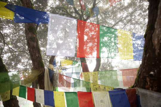 Colorful prayer flags in Everest region forests