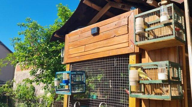 Shot of yellow canaries nervously fluttering in small cages on a hot, sunny day in southern Serbia, highlighting signs of animal mistreatment at a breeder&rsquo;s home in Leskovac, near Ni&scaron;